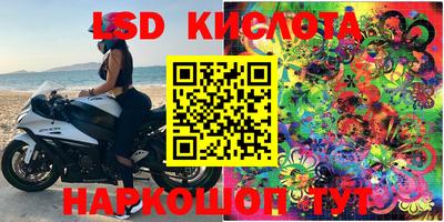 эйфоретик Кингисепп
