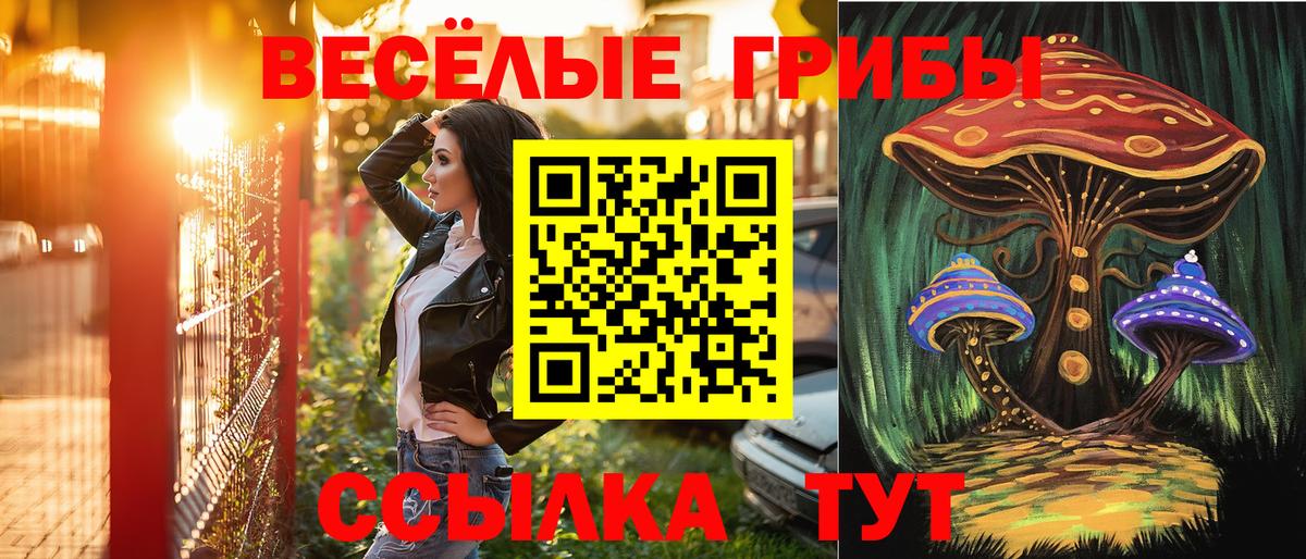 Псилоцибиновые грибы Magic Shrooms Каспийск