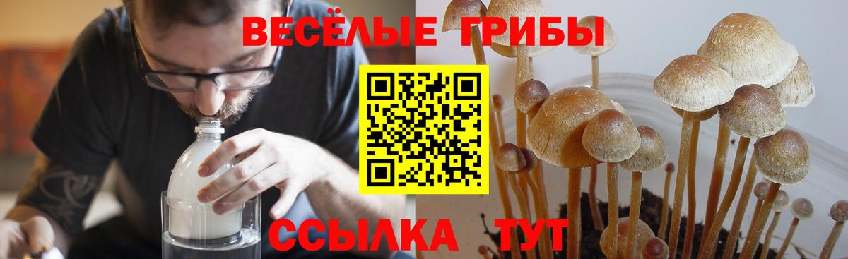 Псилоцибиновые грибы мухоморы  Вход с VPN  закладки  Каспийск 